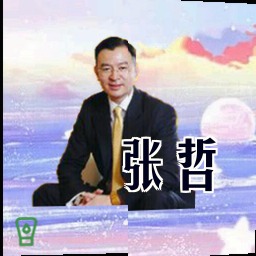 张哲